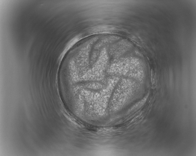 X0000057060099200510010118