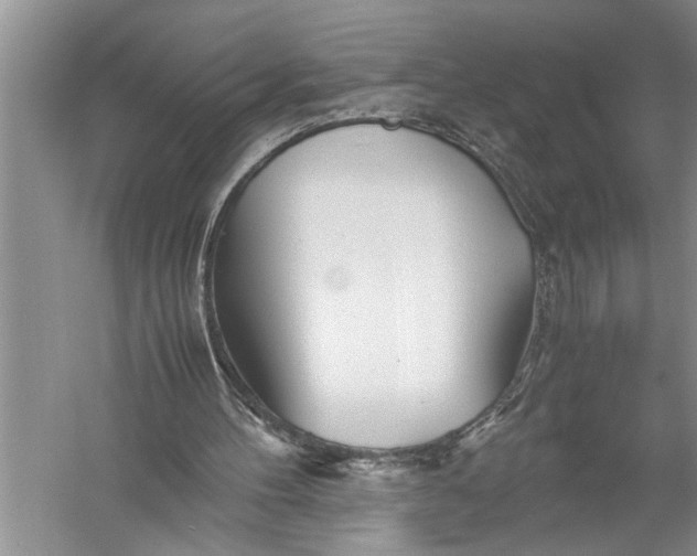 X0000057060100200510010118