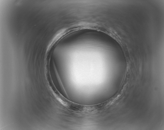 X0000057060101200510010118