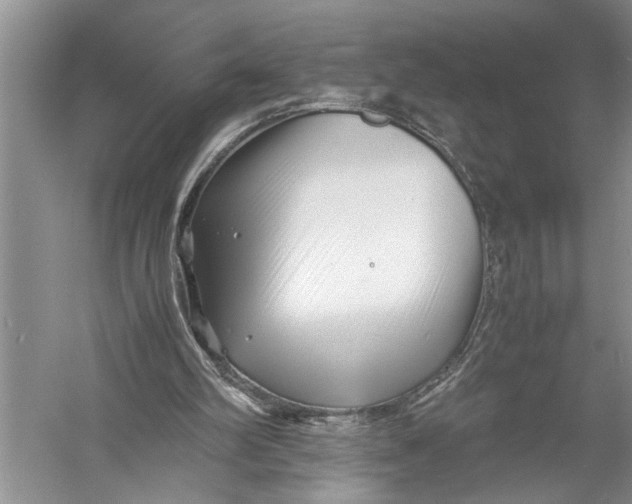 X0000057060102200510010118