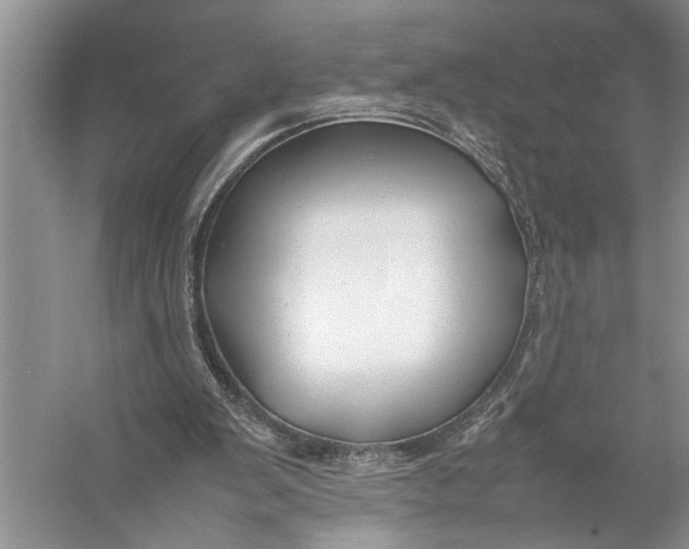 X0000057060103200510010118