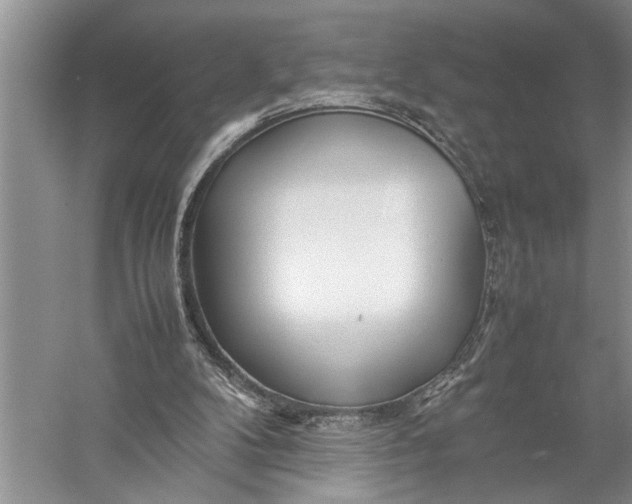 X0000057060104200510010118