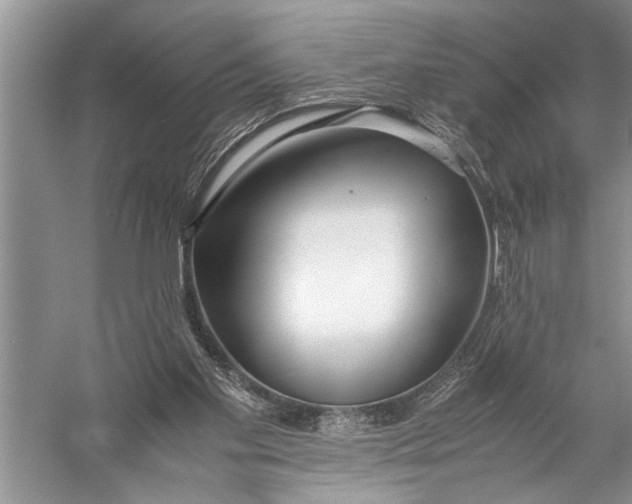 X0000057060109200510010118