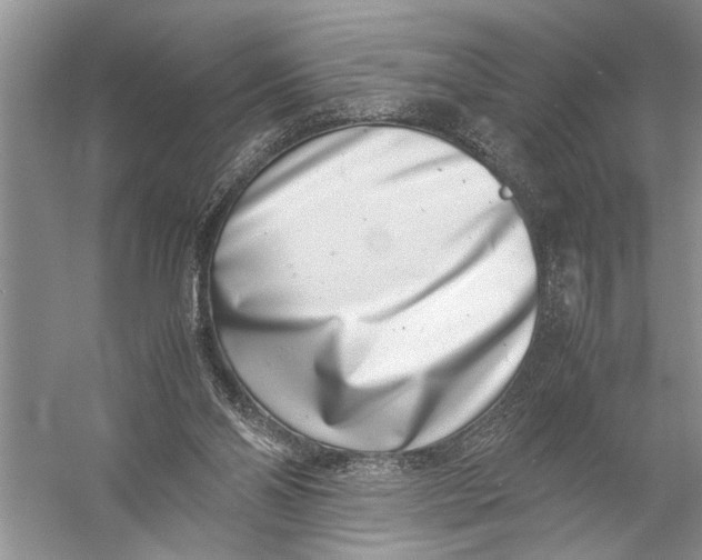 X0000057060110200510010118