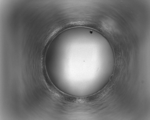 X0000057060111200510010118