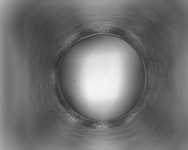 X0000057060113200510010118