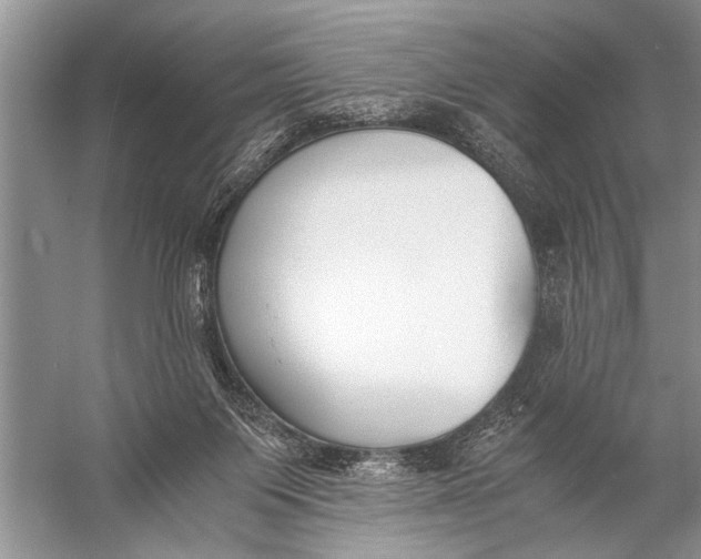 X0000057060119200510010117