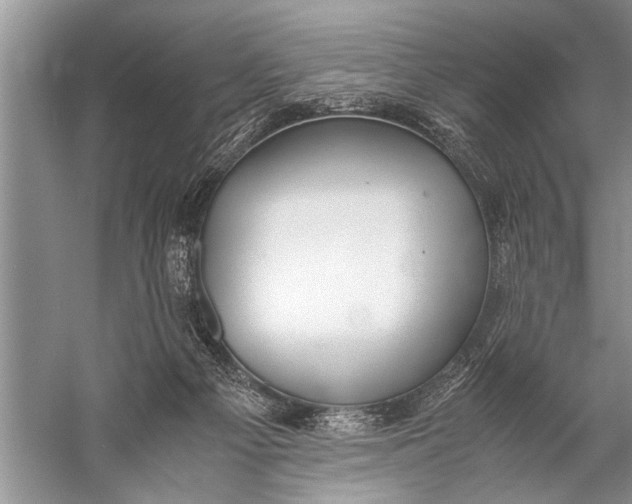 X0000057060121200510010117