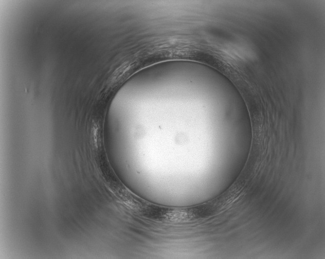 X0000057060123200510010117