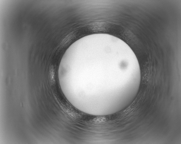 X0000057060124200510010117