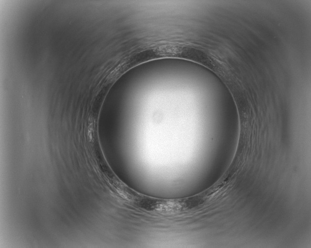 X0000057060125200510010117