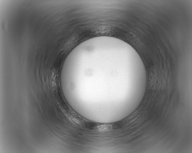 X0000057060126200510010117