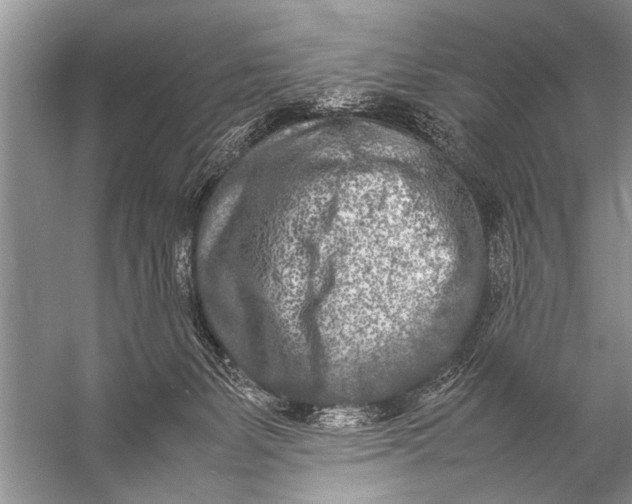 X0000057060127200510010117