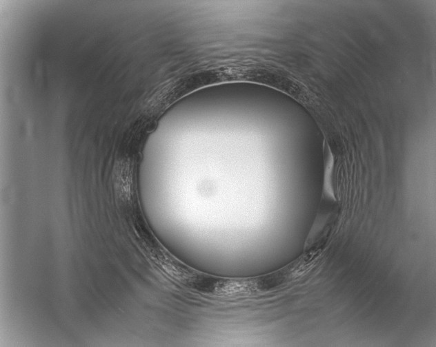 X0000057060129200510010117