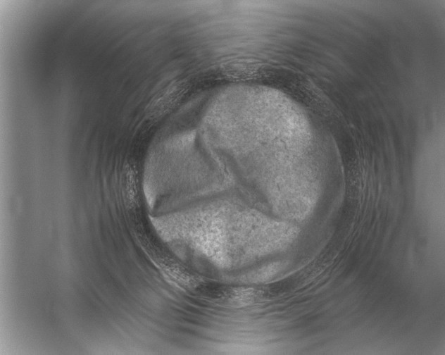 X0000057060130200510010117