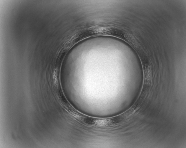 X0000057060131200510010117