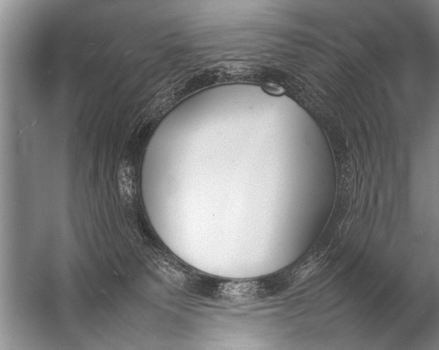 X0000057060135200510010117