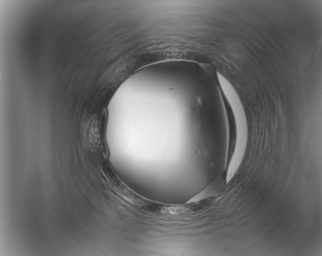 X0000057060137200510010117