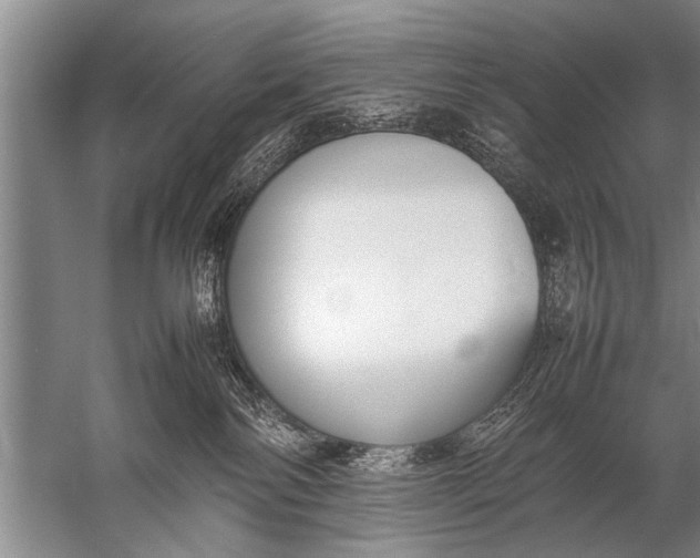 X0000057060138200510010117