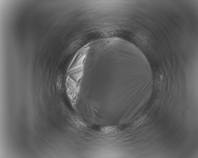 X0000057060139200510010117