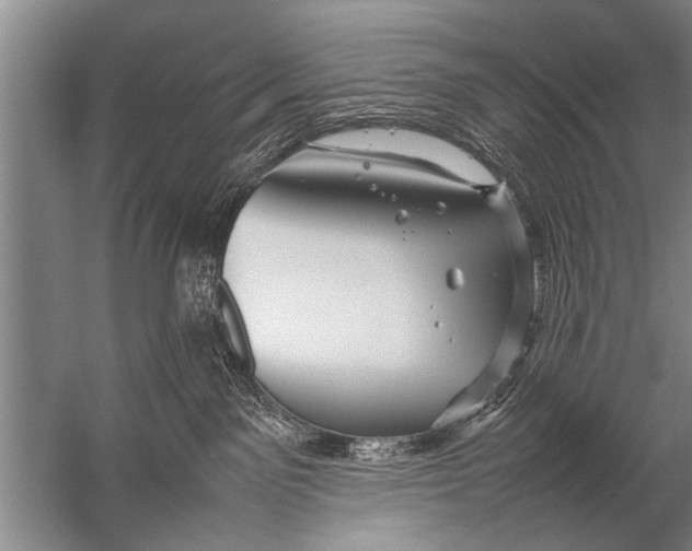 X0000057060141200510010117