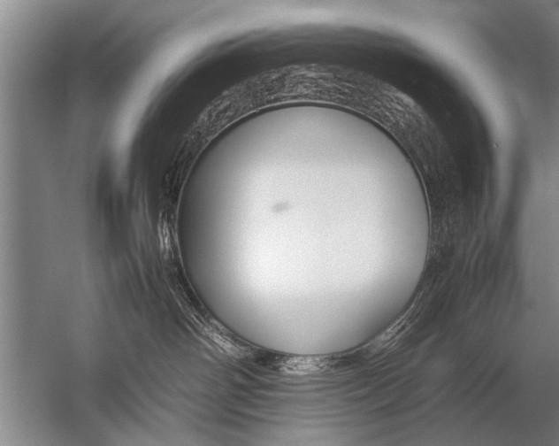 X0000057060142200510010117