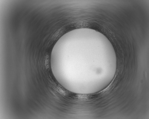 X0000057060144200510010117