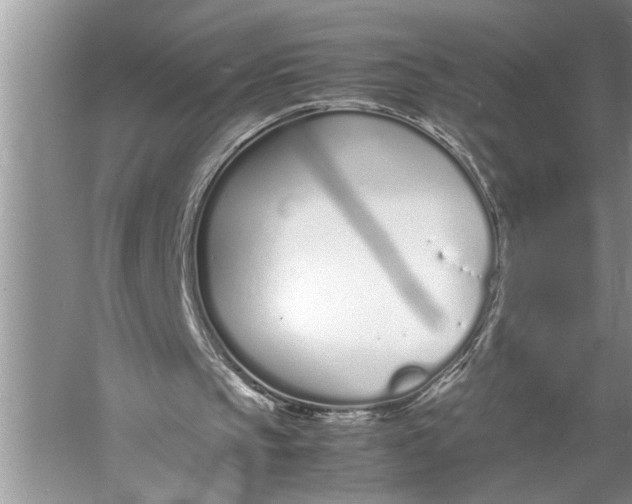 X0000057060145200510010116