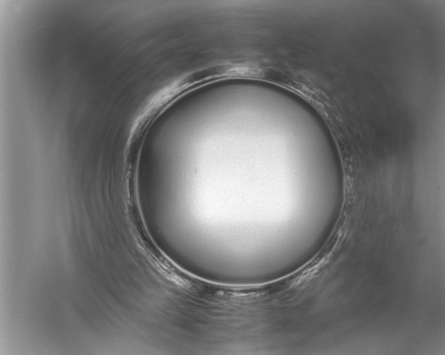 X0000057060149200510010116