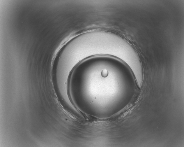 X0000057060150200510010116