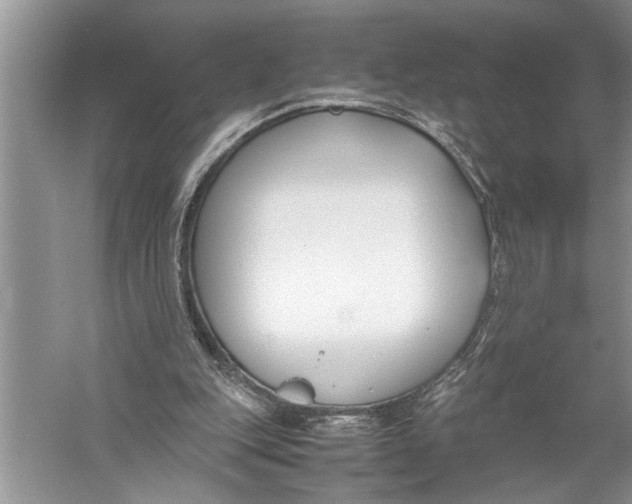 X0000057060151200510010116