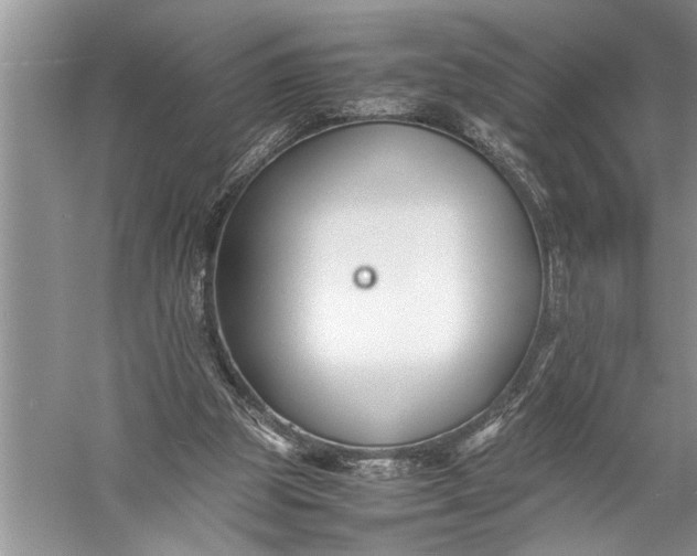 X0000057060153200510010116