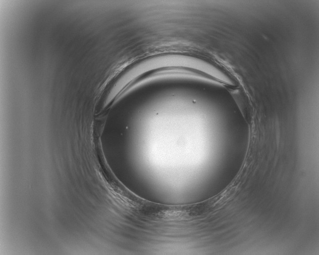 X0000057060154200510010116