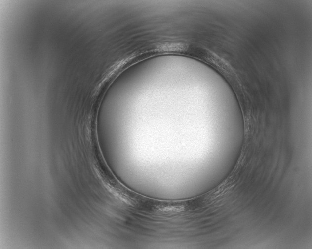 X0000057060155200510010116