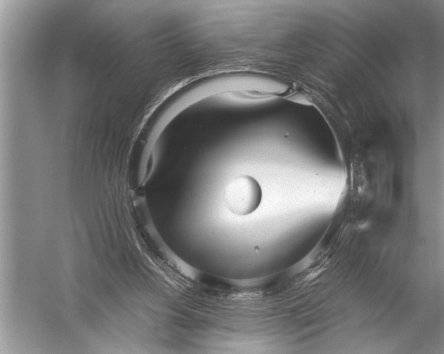 X0000057060156200510010116