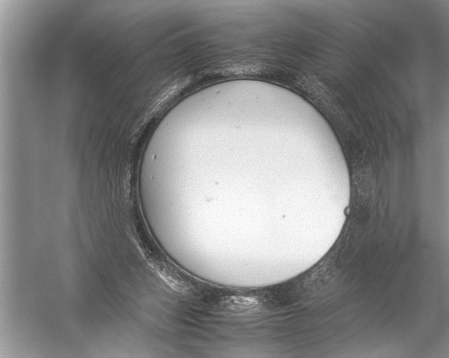 X0000057060159200510010116