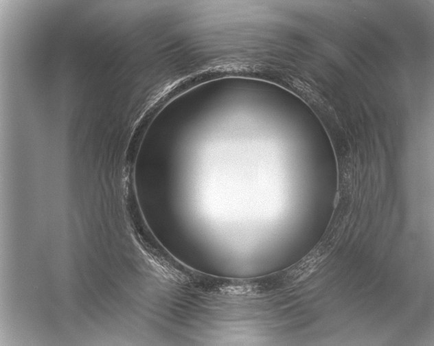 X0000057060160200510010116