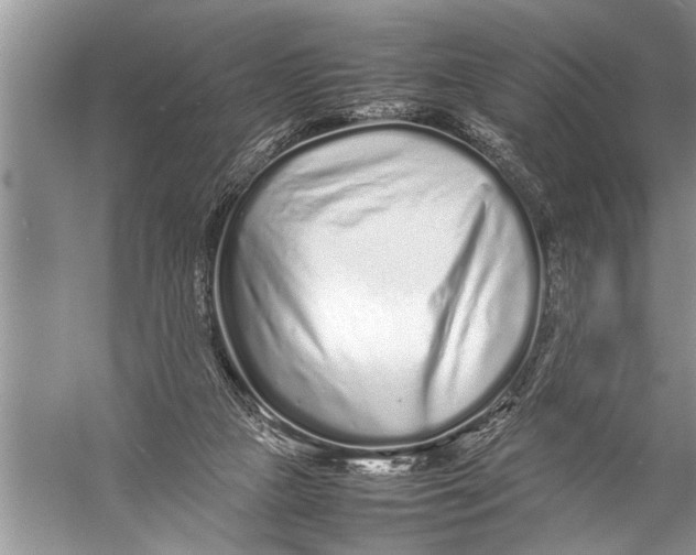 X0000057060161200510010116