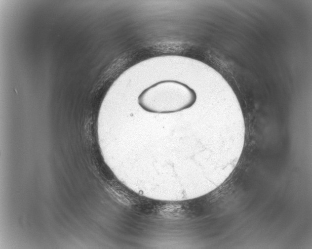 X0000057060162200510010116