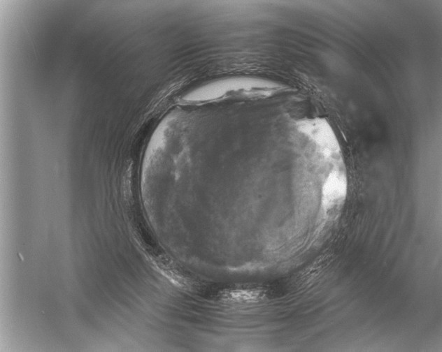 X0000057060163200510010116