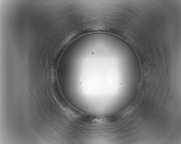 X0000057060164200510010116