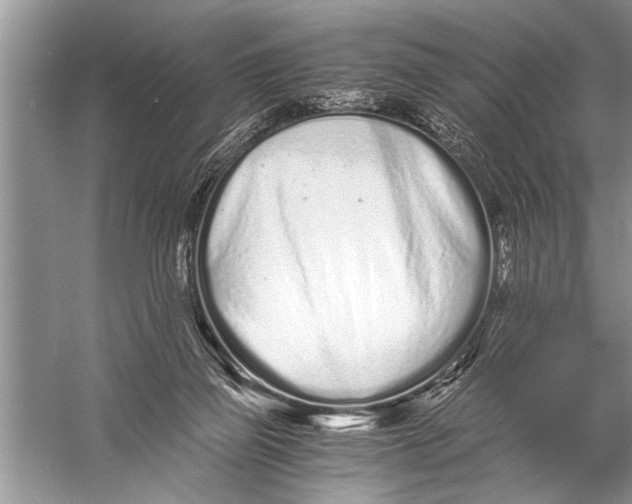 X0000057060165200510010116