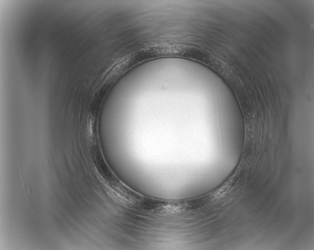 X0000057060166200510010117