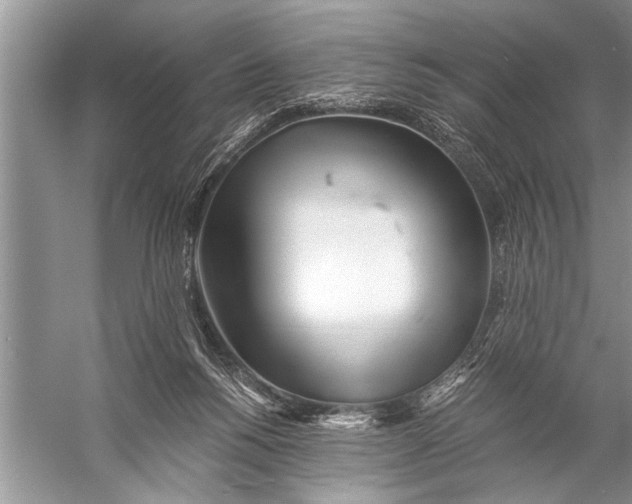 X0000057060168200510010117