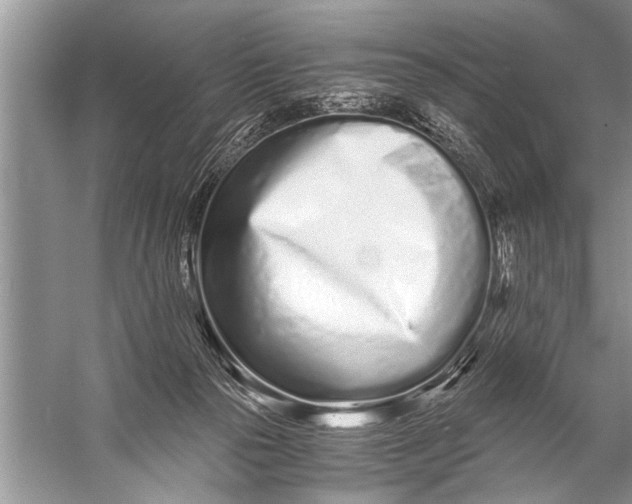 X0000057060169200510010117