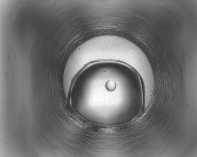 X0000057060170200510010117