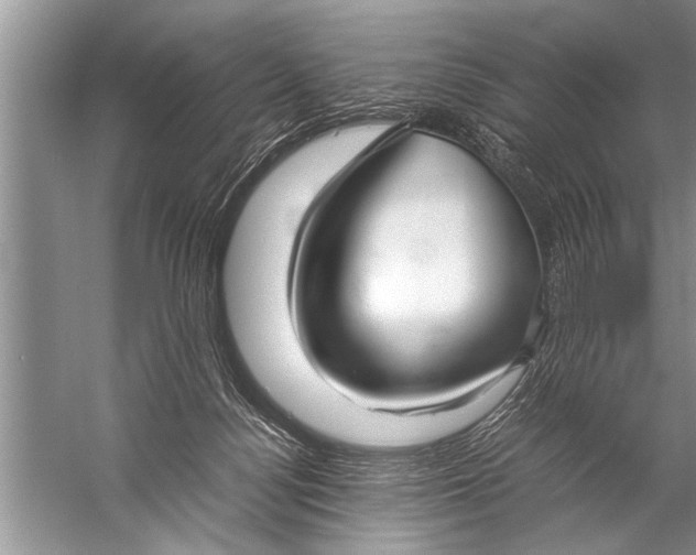 X0000057060172200510010117