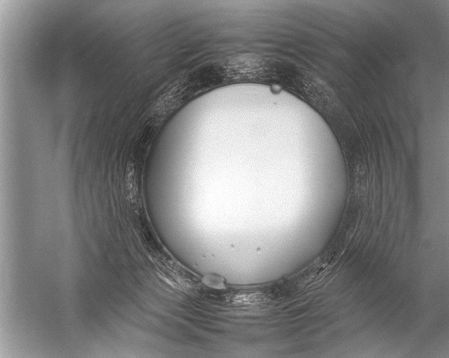 X0000057060173200510010117