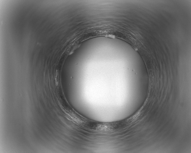 X0000057060174200510010117