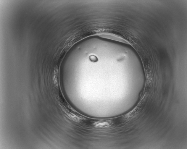 X0000057060175200510010117